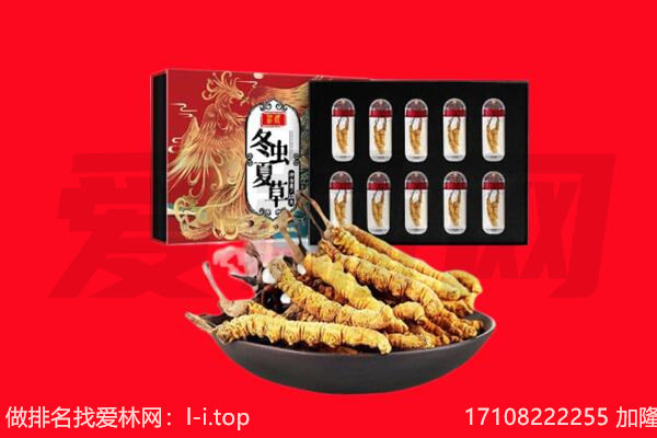 邵东市回收虫草.jpg